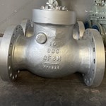 CF3M Swing Check Valve 10'' 900LB