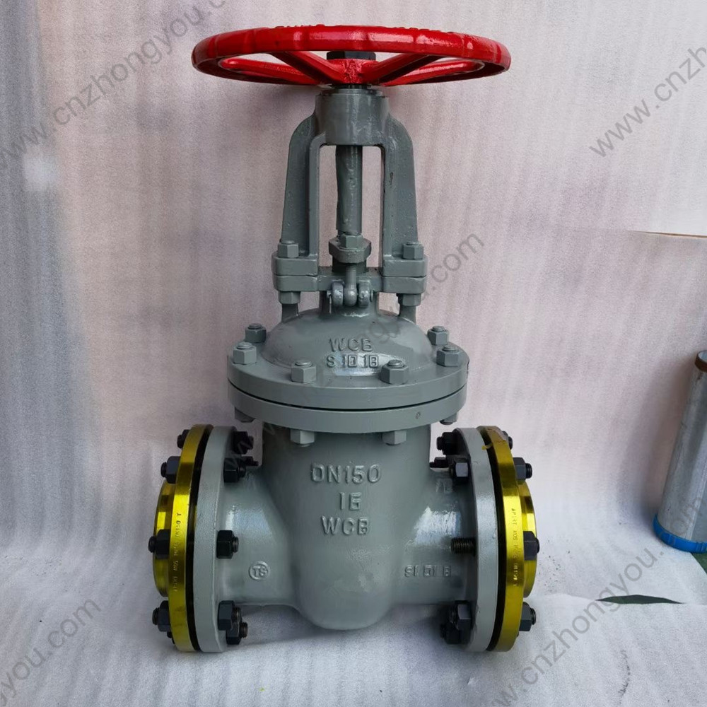 Cast Steel Gate Valve