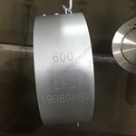 LF2 Lug Check Valve  12'' 600LB