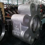 A494 CU5MCUC Lug Check Valve 6'' 2500LB