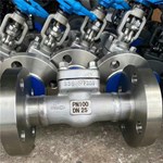 ASTM A182 F304 Check Valve DN25 PN100