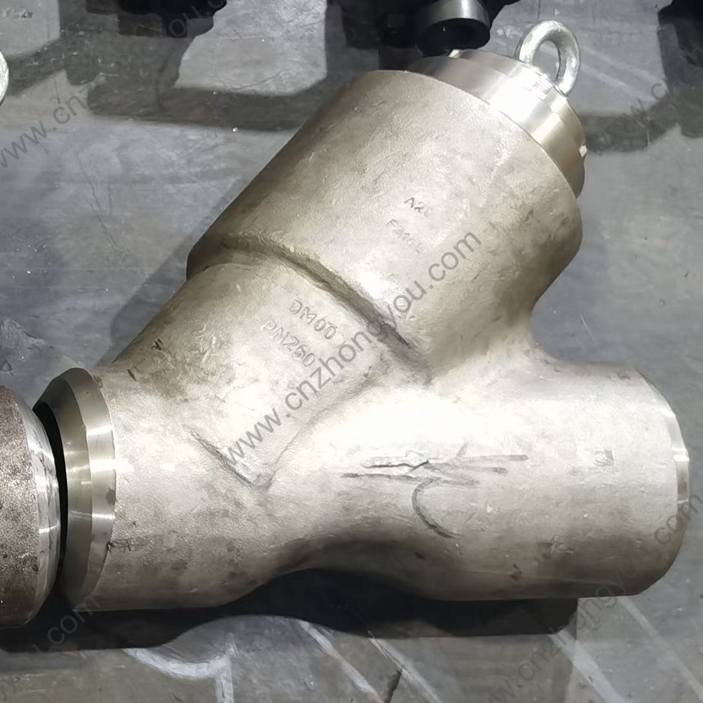 Forge F316L Y pattern Check Valve  DN100 PN250