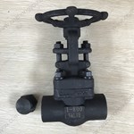 A105 gate valve 1'' 800LB
