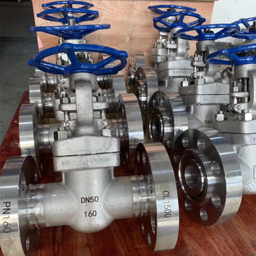 ASTM A182 F304  gate valve DN50 PN160
