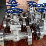 ASTM A182 F304  gate valve DN50 PN160