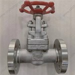 ASTM A182 F321 gate valve DN25 PN16