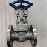 ASTM A182 F316L  gate valve 1'' 150LB