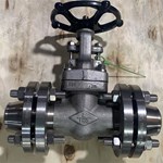 ASTM A182 F316 gate valve 2'' 150LB