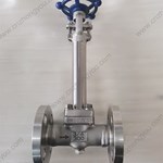 ASTM A182 F316 Extended Stem globe  valve 3/4'' 300LB