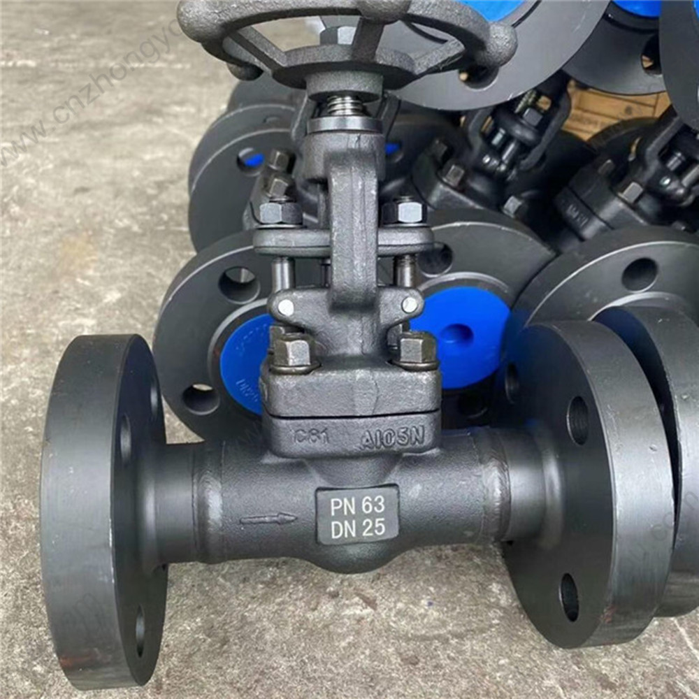 A105  globe  valve DN25 PN63