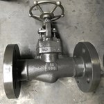 A105 globe  valve DN50 PN100