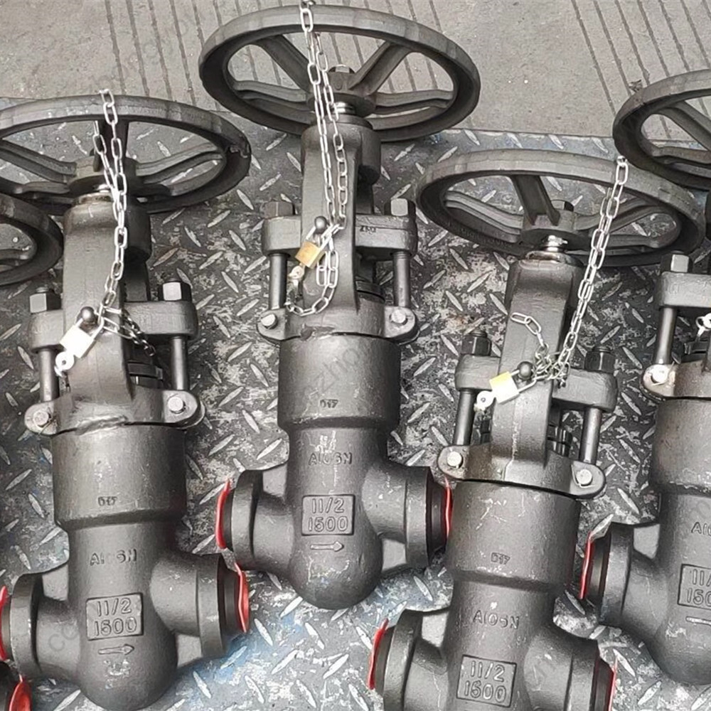 A105  globe  valve 1.5'' 1500LB