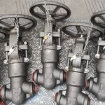 A105  globe  valve 1.5'' 1500LB