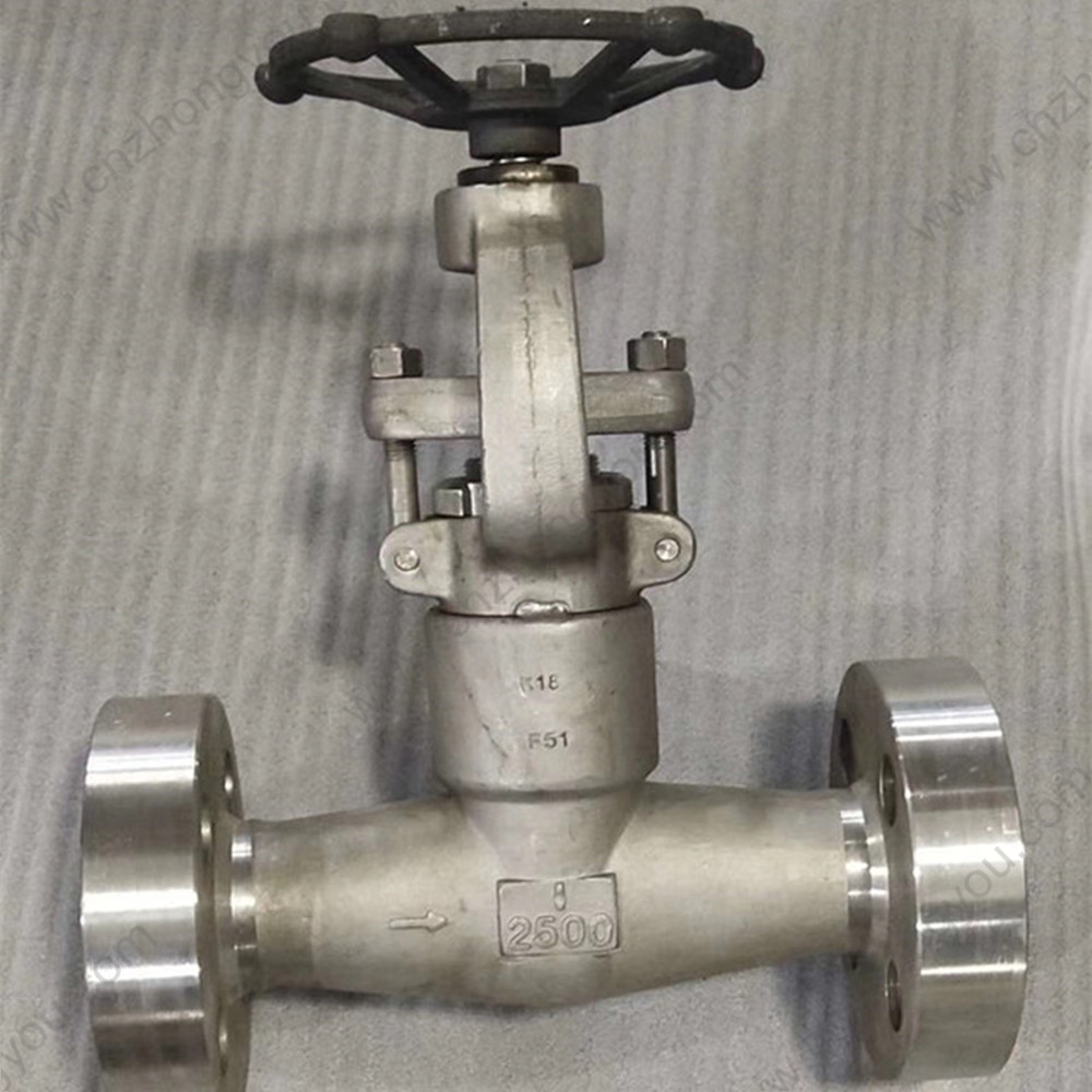 ASTM A182 F51 globe  valve  1'' 2500LB