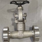 ASTM A182 F51 globe  valve  1'' 2500LB