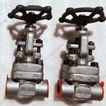 ASTM A182 F51 globe  valve  1/2'' 800LB