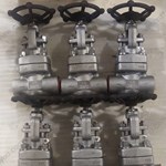 ASTM A182 F53 globe  valve  1/2'' 3000PSI