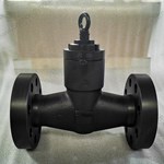 Forge LF2  Check Valve  2'' 1500LB
