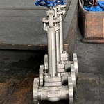 ASTM A182 F304  Extended Stem globe  valve  3/4'' 150LB