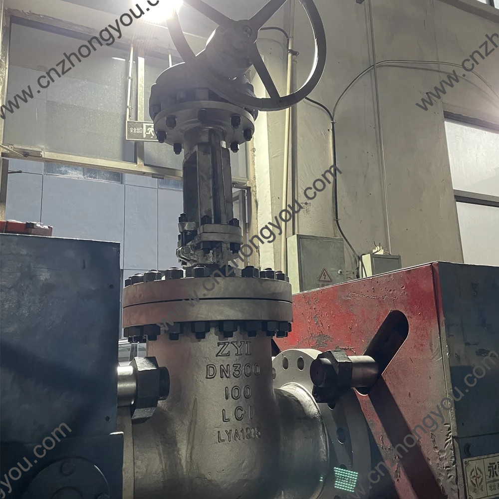 Our logo ZYI Gost LCB LC1 20ГМЛ Gate Valve export to Russia